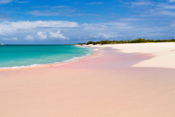 Fototapeta na wymiar Pink sand beach
