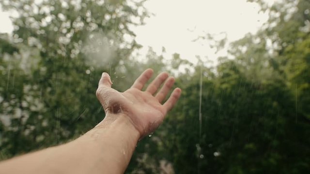 Hand In Rain On Background Of Trees Slow-Mo