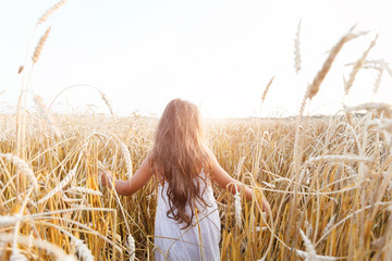 Beauty little girl outdoors enjoying nature wheat field. Beautiful girl in white dress running on the autumn field at sunset light. © 4frame group