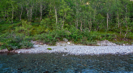 The rapid flow of the mountain river.
