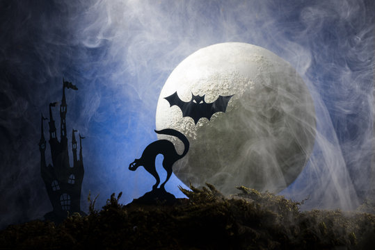 Halloween, cat and bats against the background of the moon