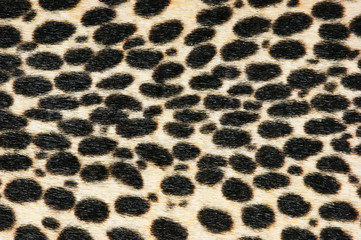 Faux leopard fur texture background