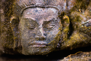 Fototapeta na wymiar Mossy stone face