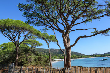 Corsica - Palombaggia Beach