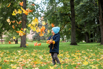 Boy throwing autumn leaves up in the park.