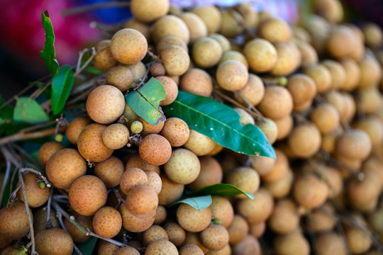 Fresh litchi fruits