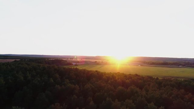 Autumn forest at sunset from a bird's eye view