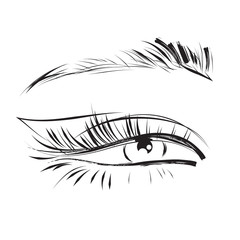 Beautiful woman eye with long eyelashes Vector illustration