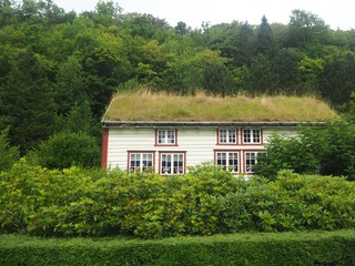 Grass roof house in a Norwegian village, Giske, Norway
