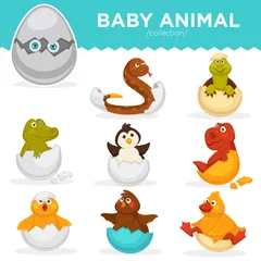 Fotobehang Baby animals hatch eggs cartoon pets hatching vector flat isolated icons © Sonulkaster
