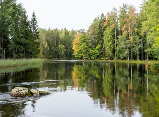 Fototapeta na wymiar Swedish river and natural salmon area in autumn