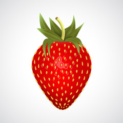 Realistic strawberry fruit, isolated on white