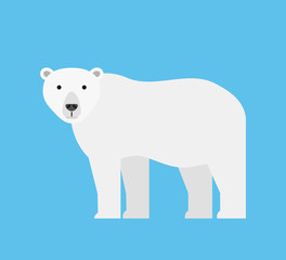 cartoon white polar bear isolated on blue background