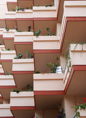 pink balconies on modern apartment building with house plants