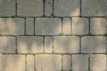 Concrete Square Paving Stone Texture. Landscaping background concept