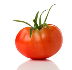 fresh tomato on white background