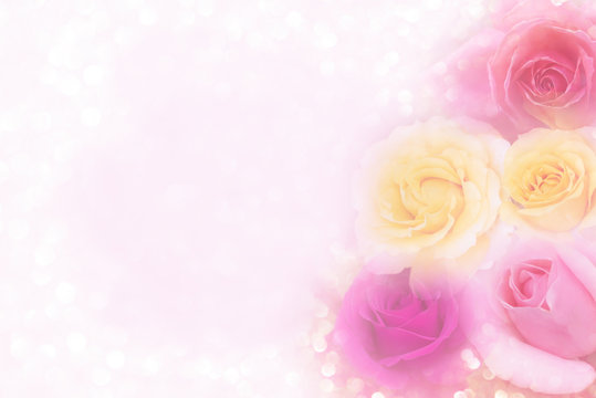 Fototapeta beautiful soft pink purple and yellow roses background in pastel tone for valentine or wedding card
