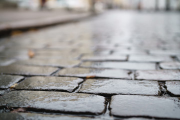 Fototapeta premium low angle shot of wet old pavement in Tallinn with shallow focus