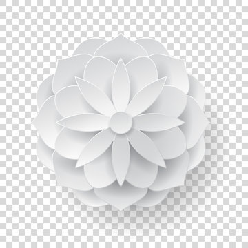 Paper Flower Images – Browse 2,005,416 Stock Photos, Vectors, and Video
