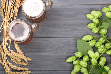 glass of foamy beer with hop cones and wheat on black wooden background. Top view with copy space for your text
