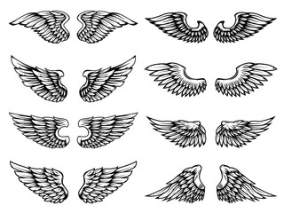 Set of vintage wings illustrations isolated on white background.