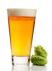 glass of beer with hop cones isolated on white background