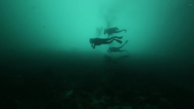 Scuba diver silhouettes in green tropical ocean 