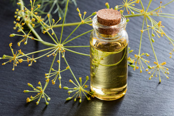 A bottle of dill seed oil on a dark background