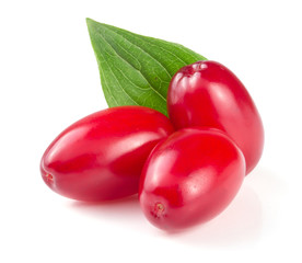 dogwood berry with leaf isolated on white background