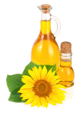 Sunflower oil and flower isolated on white background