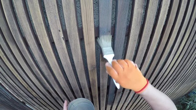 Woman painting wooden fence