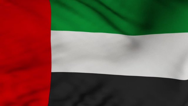 The United Arab Emirates flag waving in the wind. The UAE flag flaps in the breeze, filling the whole frame. See portfolio for similar and much more!