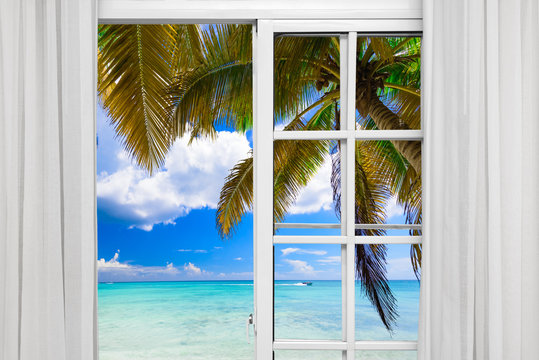 window open palm beach