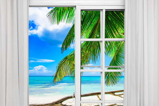 window open palm beach
