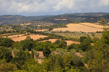 Fototapeta na wymiar beautiful summer landscape in Tuscany, Italy