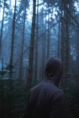 Naklejka premium Man in hoody in spooky misty pine forest. Rear view.