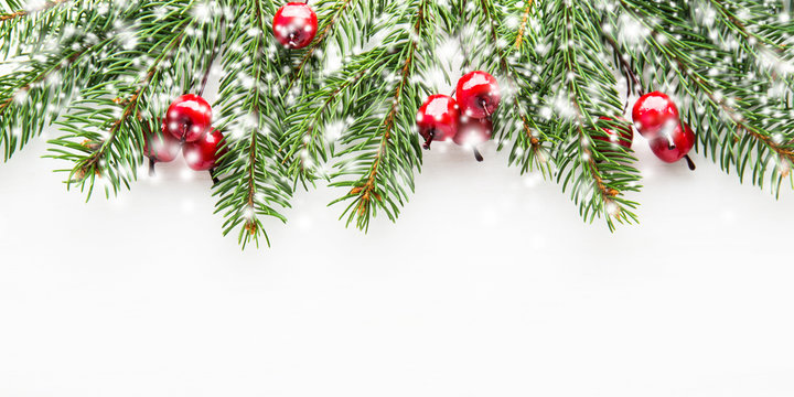Christmas and New Year holiday background. Xmas greeting card. Snow effect. Spruce tree on white background.