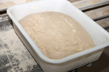 bread dough in a tray