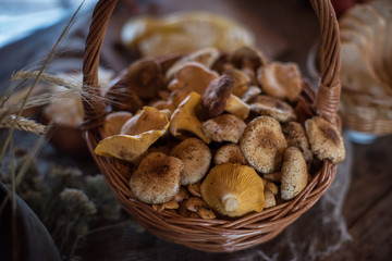 Different mushrooms in the basket