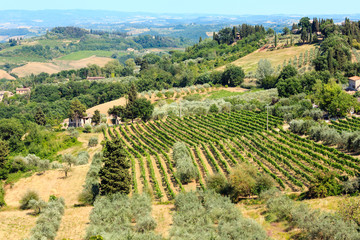 Tuscany countryside, San Gimignano, Italy