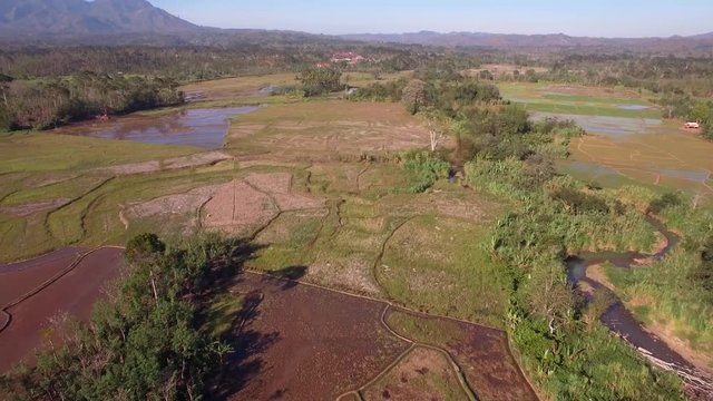 Indonesia farm aerial