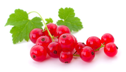 Red currants isolated.