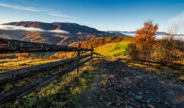 gorgeous foggy morning in mountainous countryside. beautiful landscape with path near the wooden fence and trees with yellow foliage on hillsides in late autumn