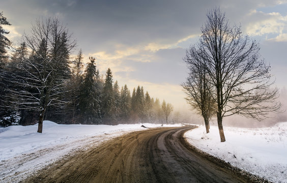 winding road through forest in winter. beautiful nature scenery with naked trees on foggy and cloudy sunrise. lovely transportation background.