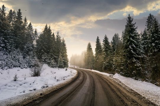 winding road through winter spruce forest. beautiful nature scenery on foggy and cloudy morning. lovely transportation background.