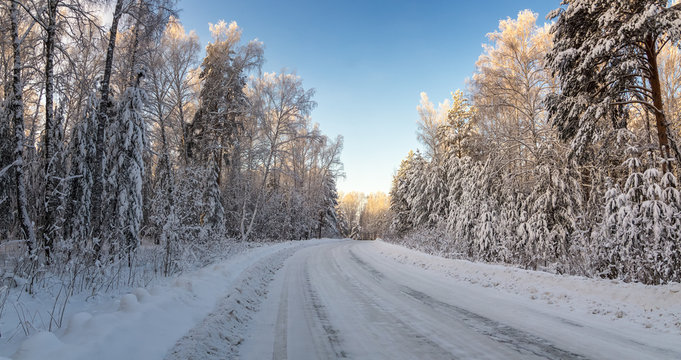 зимний пейзаж в лесу с заснеженной дорогой, Россия, Урал