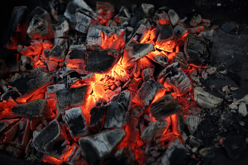 Charcoal for barbecue