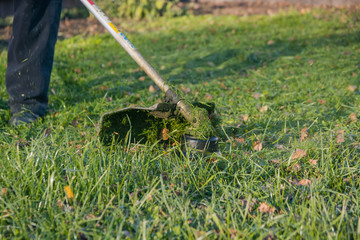 A man mows the grass with a trimmer