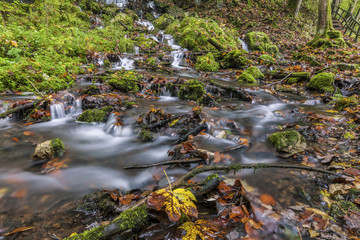 Bach im Herbst