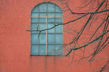 Window, red wall and dry tree branches